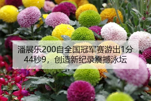 潘展乐200自全国冠军赛游出1分44秒9，创造新纪录震撼泳坛